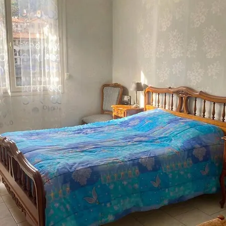F2 Ensoleille Proche Centre Avec Balcon Et Animaux Admis - Fr-1-703-202 Апартаменты Амели-ле-Бен-Палальда